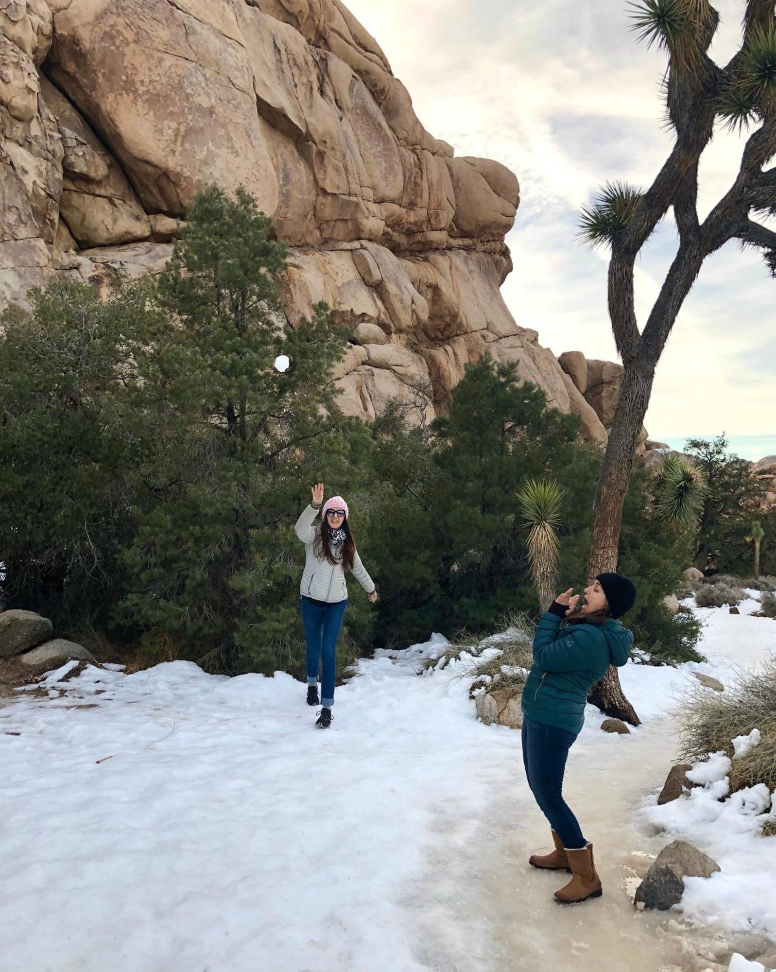 Cozy Desert Retreat With Amazing Views Only 4 Miles To Jtnp Joshua Tree Exterior foto